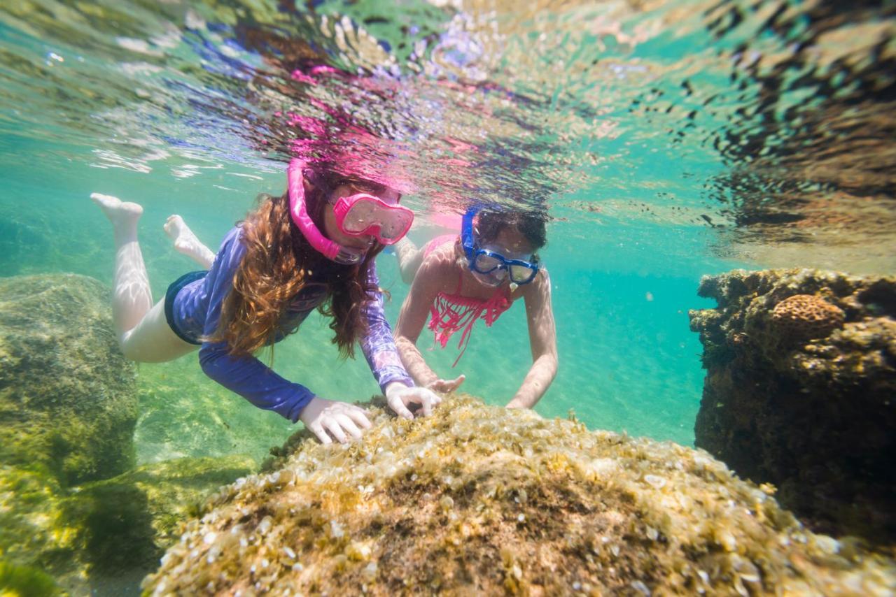 Gugulesizwe Camp Otel Mabibi Dış mekan fotoğraf